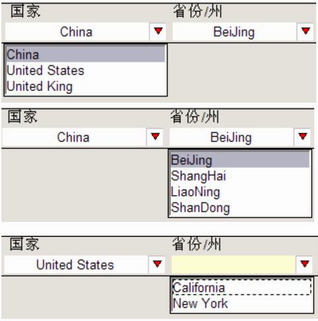 图 2. 电子表单界面显示效果