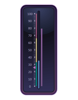 DXperience,DXGauges Suite,仪表
