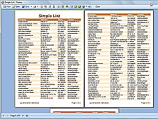 Stimulsoft  Reports高级培训