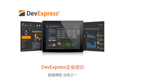 DevExpress企业培训
